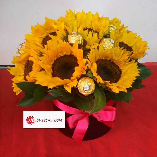 Girasoles y Chocolates en Cali