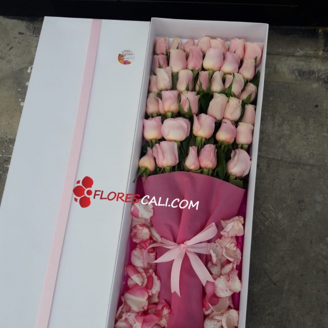 Caja x36 rosas Dia de la Madre 