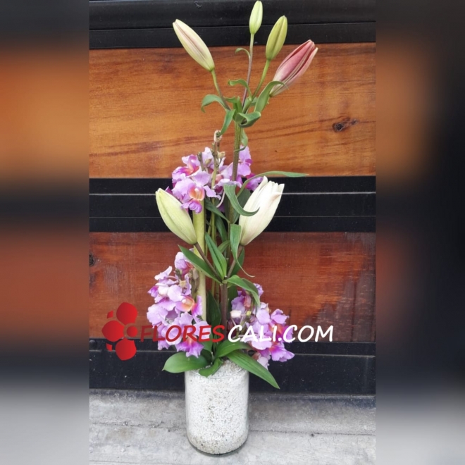 Orquídea en matera con lirios en cali