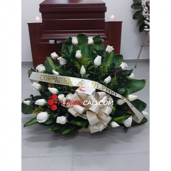 Abanico fúnebre con moño en cali