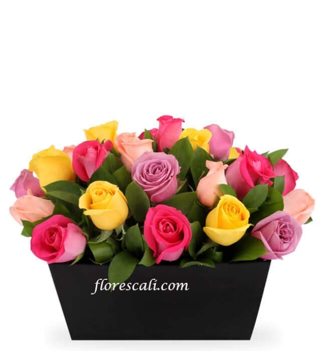 Contraste de Felicidad floristeria en cali 