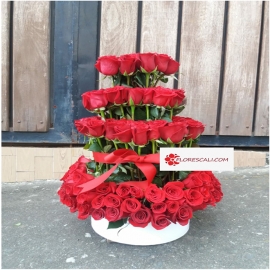 Circulo de Amor Rosas En Cali