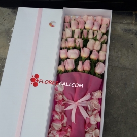 Caja x36 rosas Dia de la Madre 