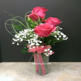 Solitario de Rosas en Cali