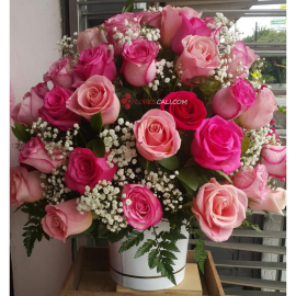 Ramo de Flores Redondo Rosas de Colores  San Valentin 